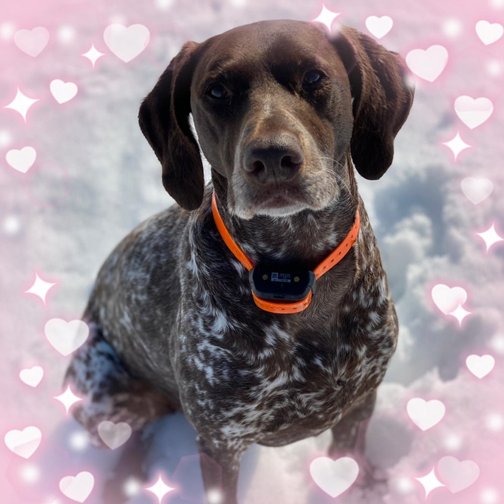 Meet your Posher, Jenn